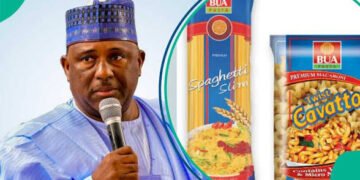 BUA Foods Proposes ₦28 Dividend as Profit Surges 95% in 2025