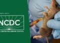 No Hantavirus Cases in Nigeria Amid MV Hondius Outbreak — NCDC