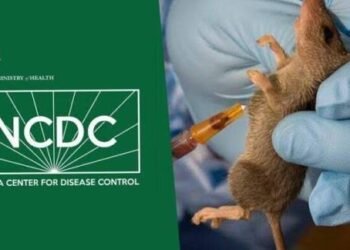 No Hantavirus Cases in Nigeria Amid MV Hondius Outbreak — NCDC