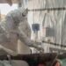 Ebola Reaches Europe as France Confirms First Imported Case