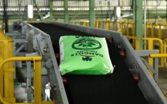 Dangote Fertiliser Limited’s IPO set for 2028