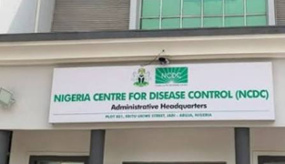 Ebola outbreak: Nigeria introduces health declaration forms for travellers