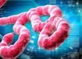 Nigeria Confirms Imported Ebola Case in Abuja, Traces 44 Contacts