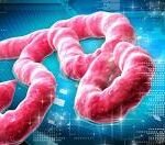 Nigeria Confirms Imported Ebola Case in Abuja, Traces 44 Contacts download (2)