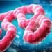 Nigeria Confirms Imported Ebola Case in Abuja, Traces 44 Contacts