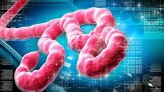 Nigeria Confirms Imported Ebola Case in Abuja, Traces 44 Contacts